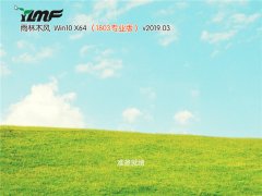 雨林木风 Win10 x64企业版 v2019.03 雨林木风 Win10 x64企业版 v2019.03