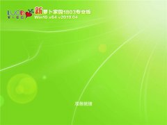 萝卜家园 Win10 x64 企业版 v2019.04 萝卜家园 Win10 x64 企业版 v2019.04