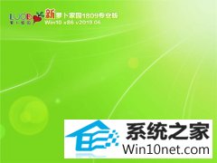 萝卜家园 Win10 x86(1809专业版)v2019.06 萝卜家园 Win10 x86(1809专业版)v2019.06