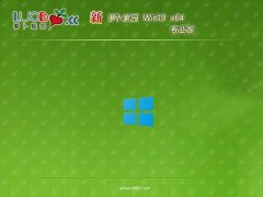 ܲ԰win1064λƷֱװv2025.05