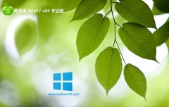 <font color='#990000'>ƻϵͳwin11 64λͨùv2025.05</font>