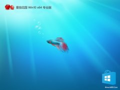 ѻ԰win10⼤64λ޿°v2025.05
